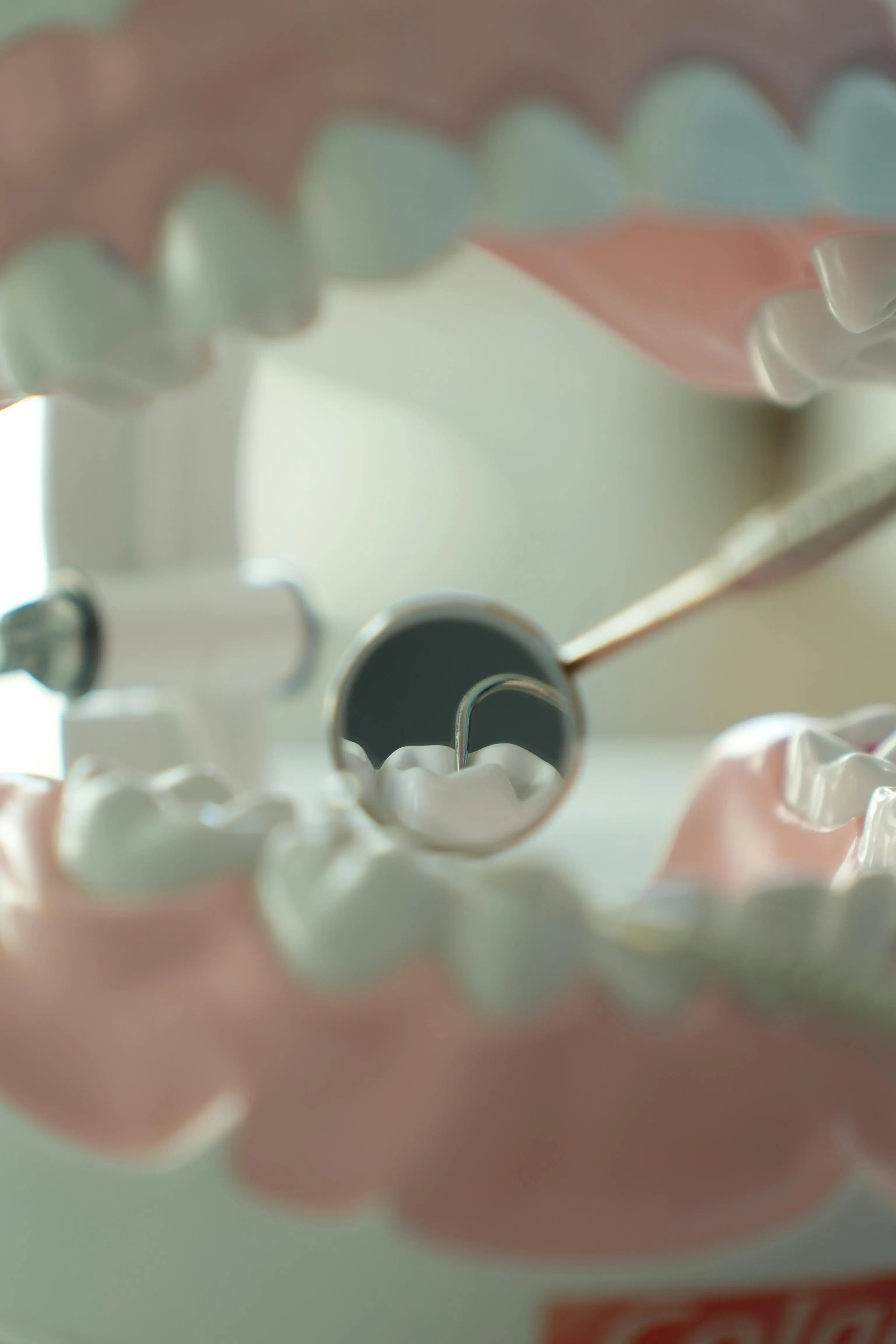 Mouth-Body Connection: How Your Oral Health Affects Your Overall Wellness