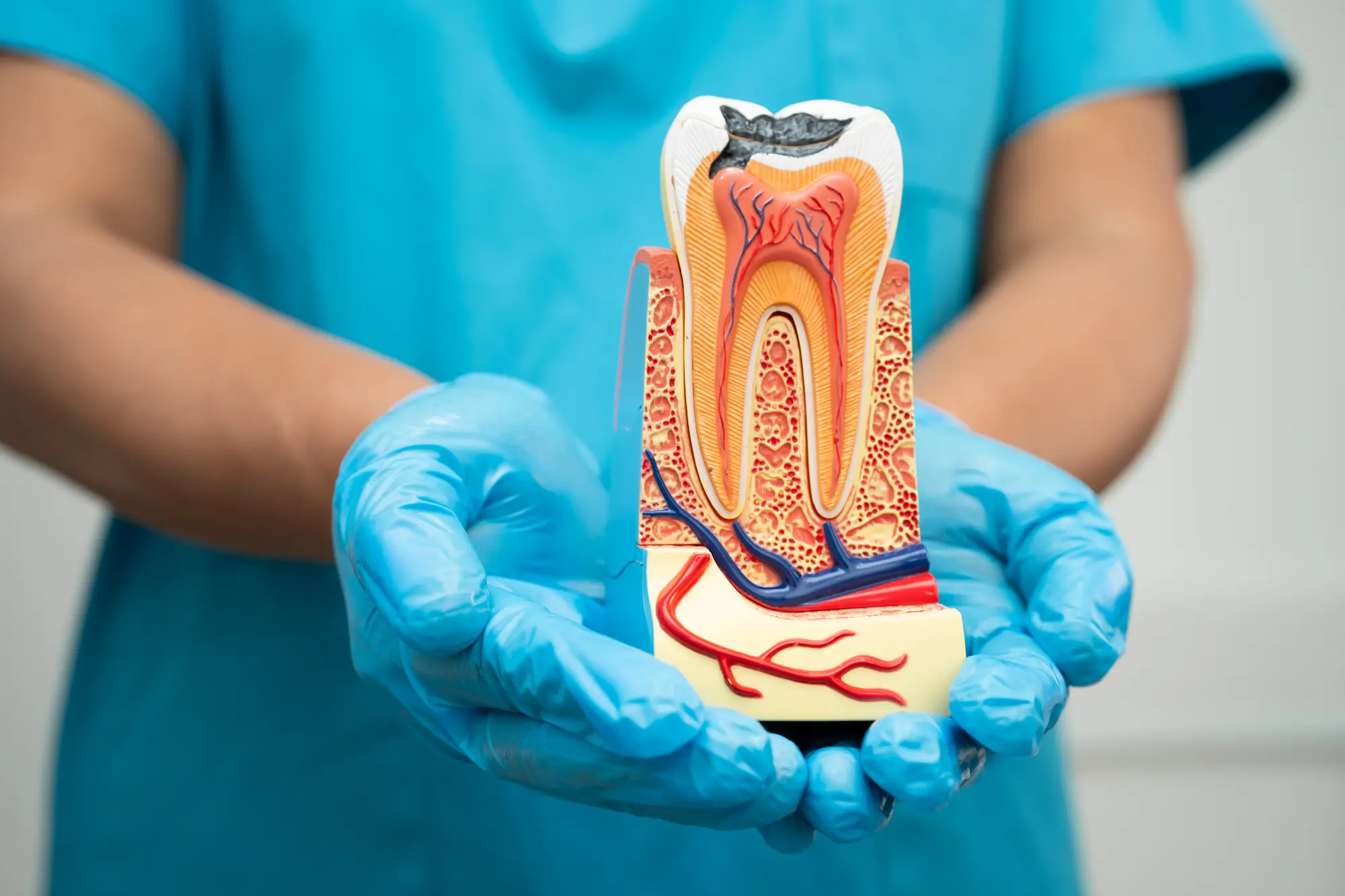 Receding Gum on One Tooth: Causes, Signs, and Treatment Options