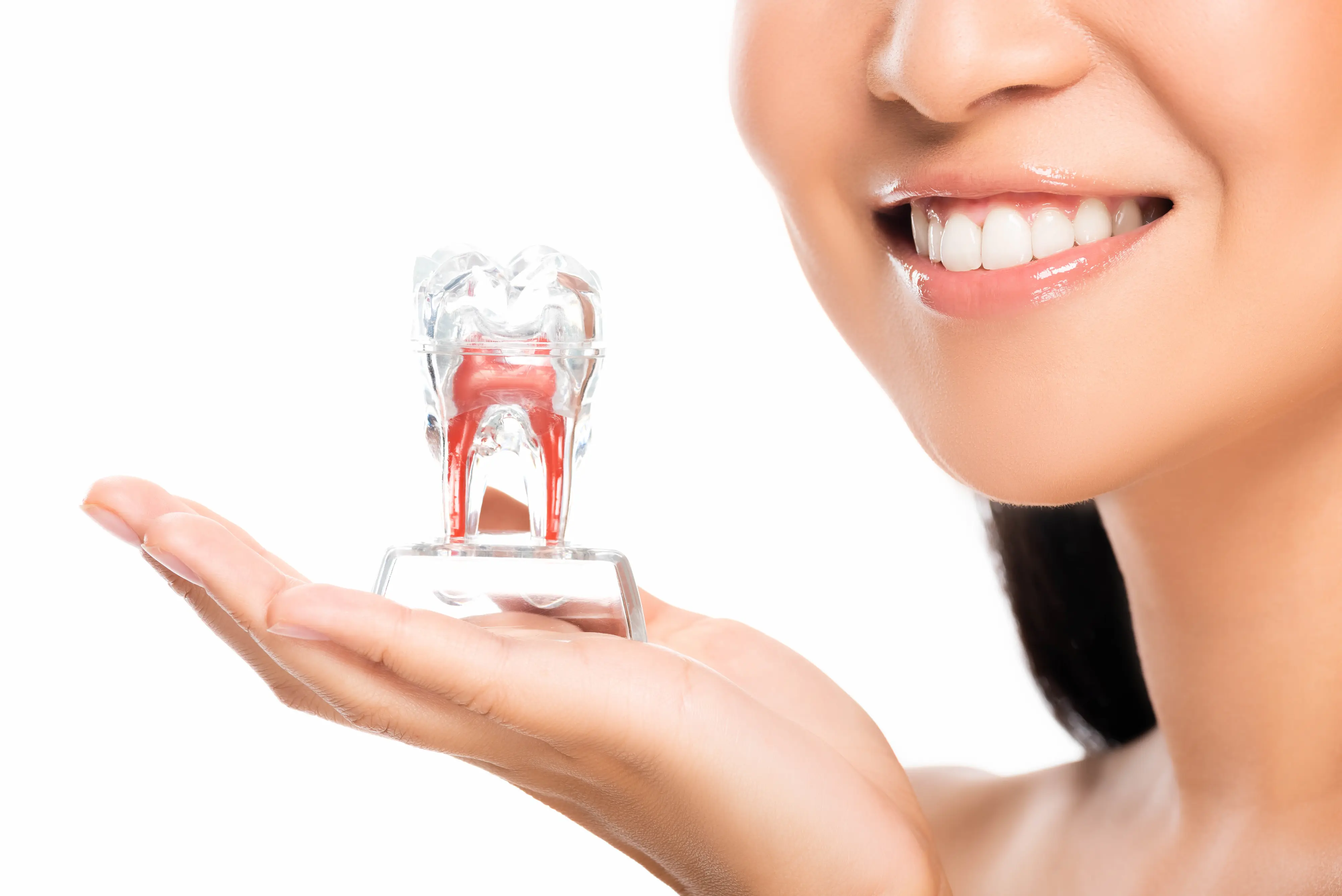 happy woman holding tooth model